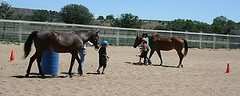 http://www.flickr.com/photos/fortcarson/