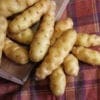 The Ozette Potato